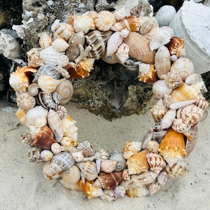 Peut inclure: Une couronne faite de différentes coquillages dans des tons de brun, blanc et beige. La couronne est disposée en forme circulaire et est faite de différents types de coquillages.