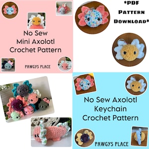 No Sew Mini-haakpatroon Axolotl en Axolotl-sleutelhanger