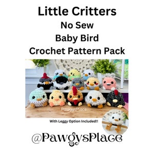 Little Critters Baby Birds No Sew Crochet Pattern Pack