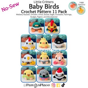 Little Critters Baby Birds No Sew Crochet Pattern 11 Pack