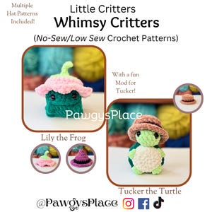Little Critters No/Low Sew Whimsy Critters Lily the Frog and Tucker the Turtle Crochet Patterns