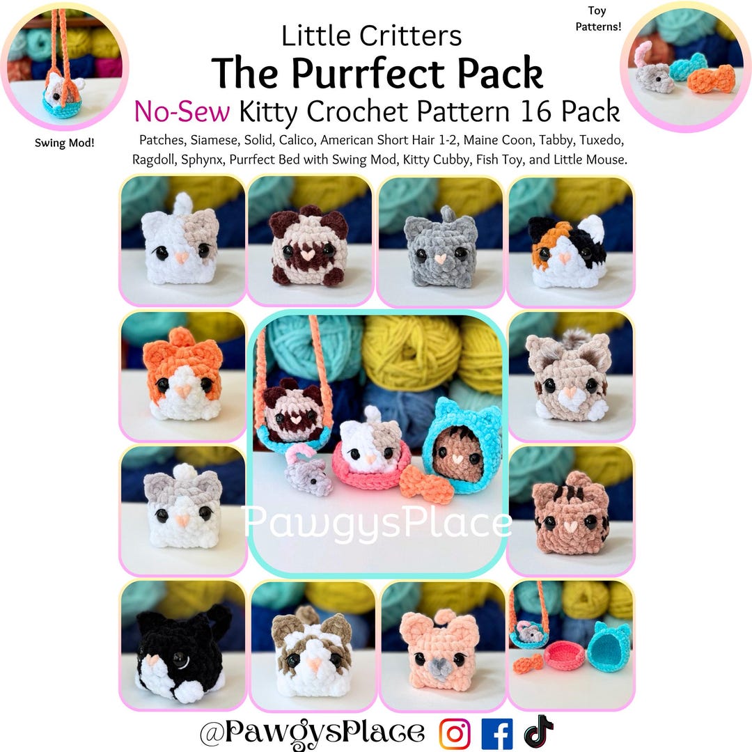 Little Critters the Purrfect Pack No Sew Kitty and Accessories
