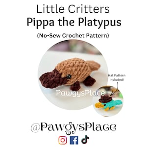 Little Critters Pippa the Platypus and Hat, No-Sew Crochet Patterns