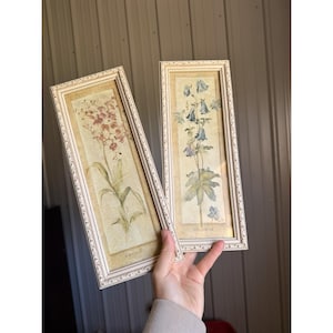 Peut inclure: Deux cadres muraux rectangulaires ornés de couleur crème. L'une des impressions présente une délicate fleur rose, tandis que l'autre affiche des fleurs d'ancolie bleues avec le texte "COLUMBINE" imprimé clairement en bas.