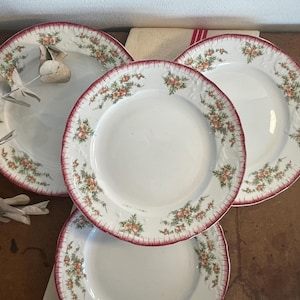 Set of 4 &quot;Floréal&quot; SAINT AMAND starter plates polychrome ironstone relief decoration - Antique French Vintage Ironstone -