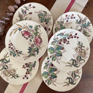 Może przedstawiać: Zestaw pięciu okrągłych talerzy ceramicznych o kremowej powierzchni, ozdobionych kolorowymi ilustracjami botanicznymi przedstawiającymi jeżyny, liście i różne polne kwiaty. Talerze są ułożone w zachodzący na siebie wzór.