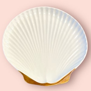 色々な Dr Ermete Agostinelli Porcellane D'arte Shell Bassano 食器