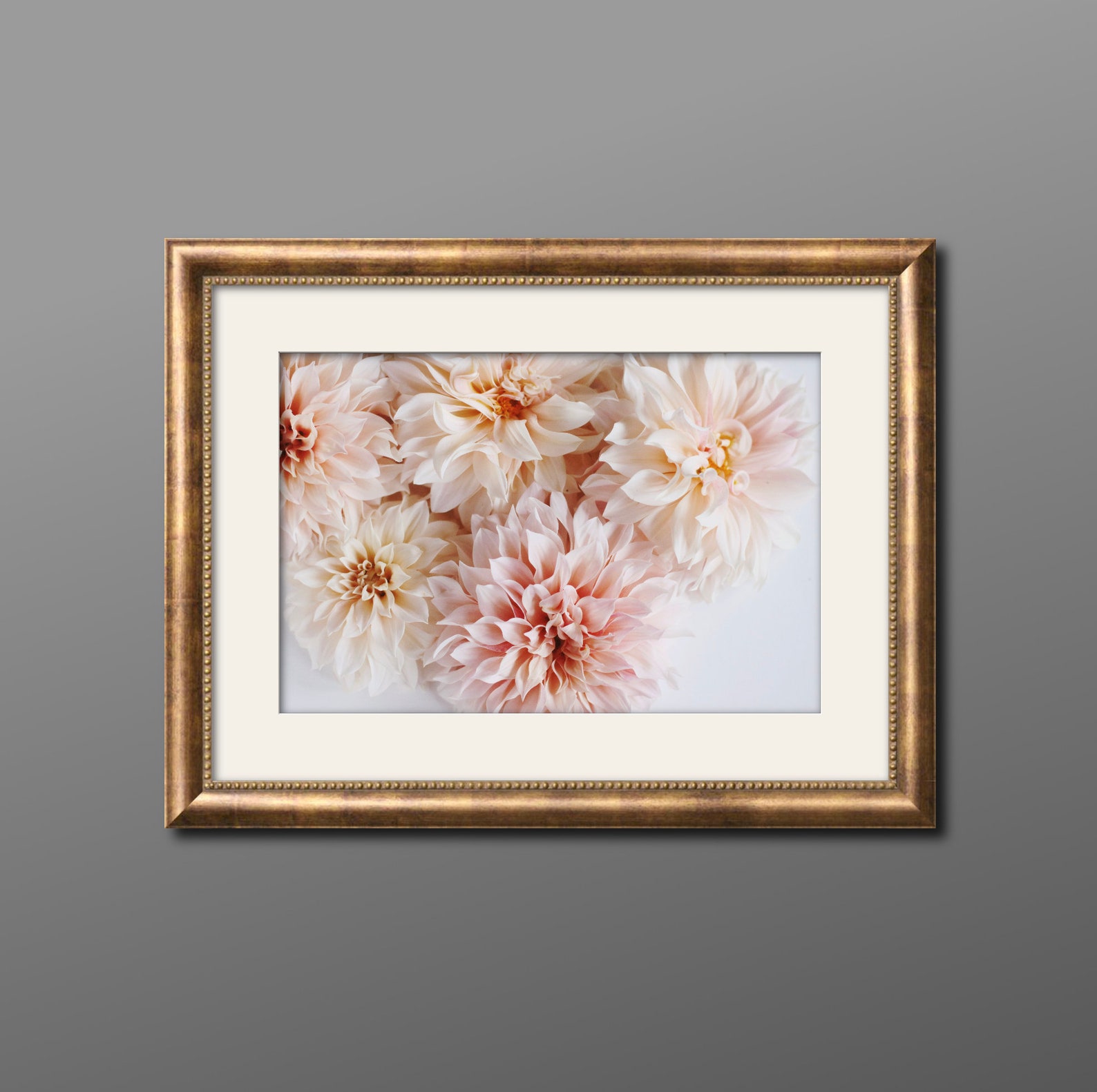 Cafe Au Lait Dahlia Wall Art, Dahlia Photography, Dahlia Wall Art Print