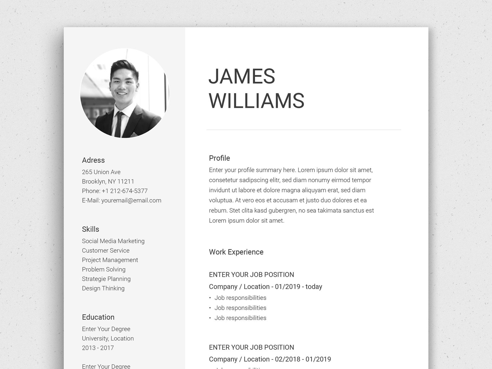 Types Of Professional Resume Templates Types Of Professional Resume Templates