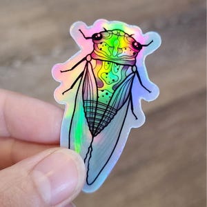 Holographic Cicada sticker