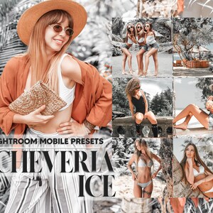 12 Mobile Lightroom Presets, Echeveria Ice Mobile Preset, Grey Green Filter, Blogger Preset DNG Presets, Lifestyle Preset, Instagram Presets