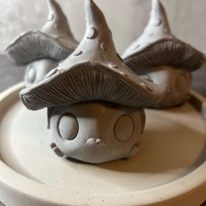 Cement Mushroom  | Cement | Garden Mushroom  | Cement Decor | Zen Garden | Garden decoration | Mushrooms