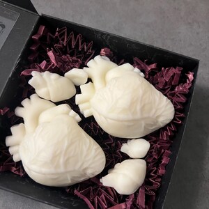 Heart Soy wax melts | Anatomy Heart melts | Soy wax Tarts | wax melts | Valentines Day hearts | heart melts | Anniversary Gift | Weddings