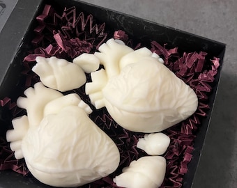 Anatomy Heart Soy Wax Melts