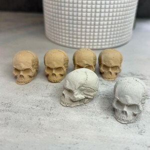 May include: A collection of small, skull-shaped decorative objects. The skulls are in shades of beige and gray, with visible details of the skull's structure. The objects are arranged on a light gray surface, with a white textured pot in the background.