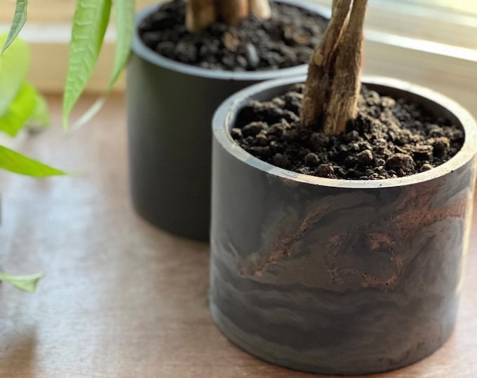 Cement Succulent Planter with Tray - 6 inch Indoor Pot
