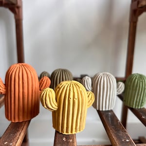 Könnte beinhalten: Fünf kleine, dekorative Kaktussculpturen in verschiedenen Farben, darunter Orange, Braun, Gelb, Weiß und Grün. Die Kakteen sind auf einem Holzregal angeordnet.