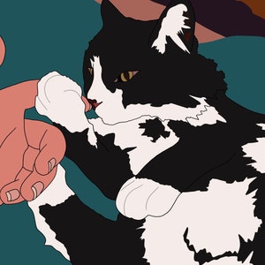 Pet portraits