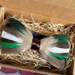 Teal duck bowtie