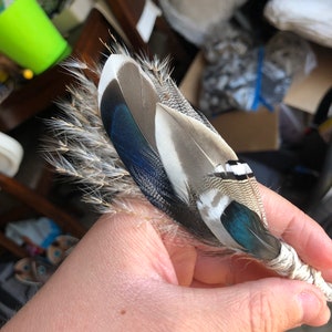 Feather boutonnières