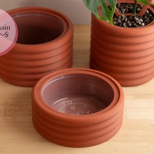 May include: Three terracotta-coloured pots with a ribbed texture. The pots have clear plastic inserts. The largest pot has a plant growing in it.