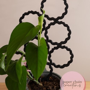 May include: A black plant support made of paper chain links in the shape of circles. The support is in a pot with a green plant growing up through it. The text "paper chain creations" is visible in the lower right corner of the image.