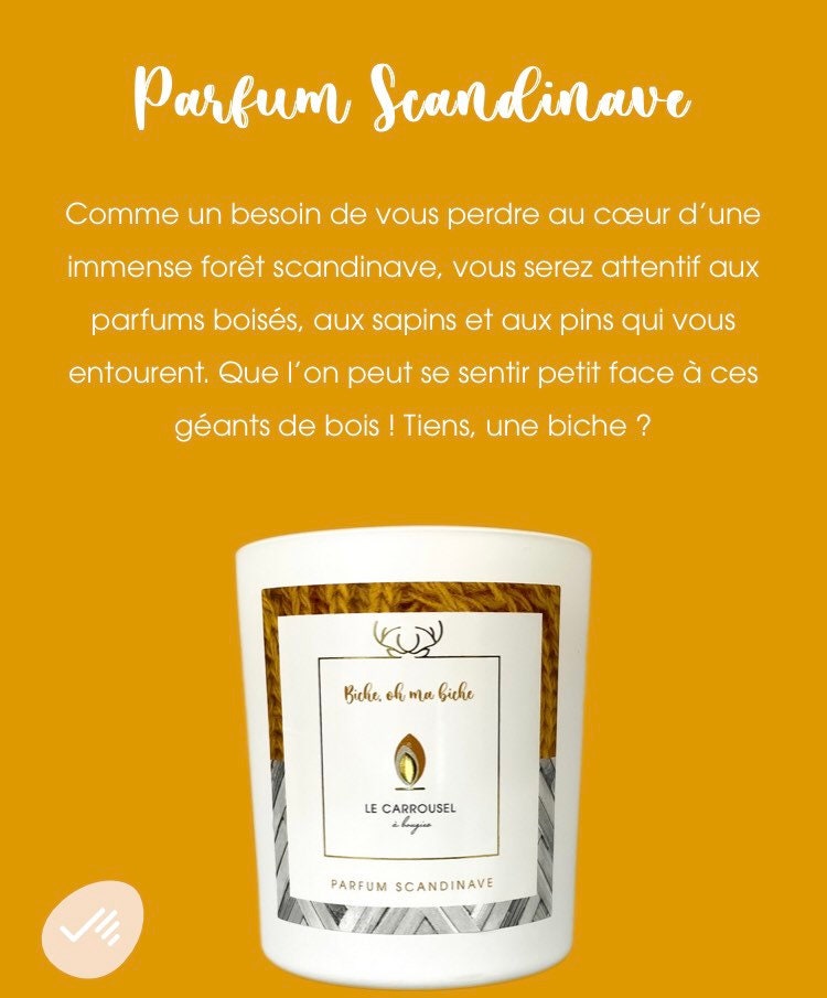 Bougies Scandinave 300 Ml Senteur Sapin