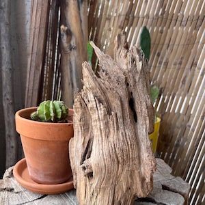 May include: A piece of weathered driftwood with a light brown, textured surface featuring deep vertical grooves, natural knots, and a jagged, pointed top. The wood displays a complex, organic grain pattern with varying shades of tan and beige.