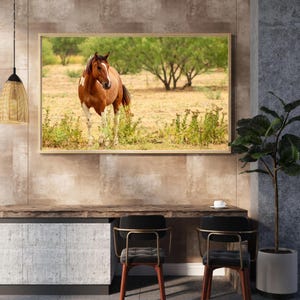 Mustang In A Field Digital Image