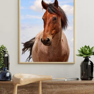 Majestic Mustang Digital Image