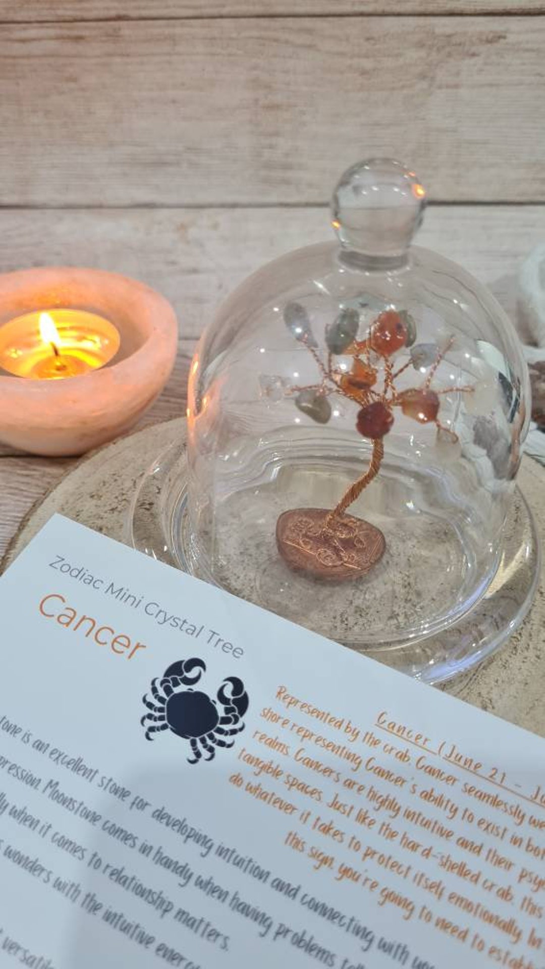 Zodiac Mini Crystal Tree Copper Wire on a 2p or 10p Coin in a Glass ...