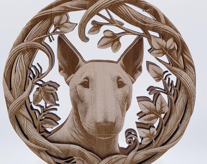 Miniature Bull Terrier delicately framed