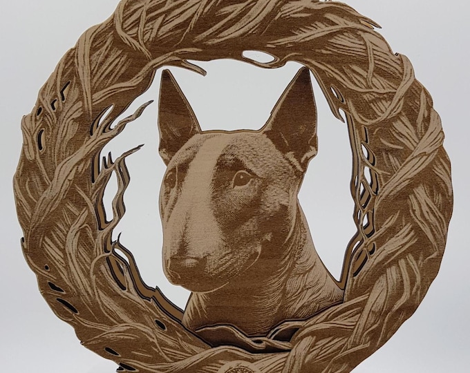 Miniature Bull Terrier framed