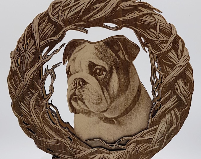 English Bulldog framed