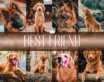May include: A collage of photos featuring various dog breeds, including a German Shepherd, Golden Retriever, and a Nova Scotia Duck Tolling Retriever. The photos are arranged in a grid pattern with the text "BEST FRIEND" in the center. The text "MOBILE & DESKTOP PRESETS" is below the title.