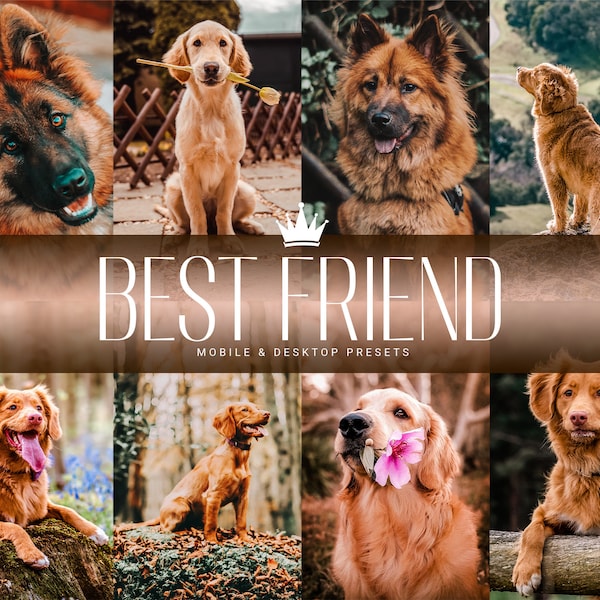 10 MAN'S BEST FRIEND Mobile & Desktop Lightroom Presets, Dog Presets, Pet Presets, Bloggers and Influencers