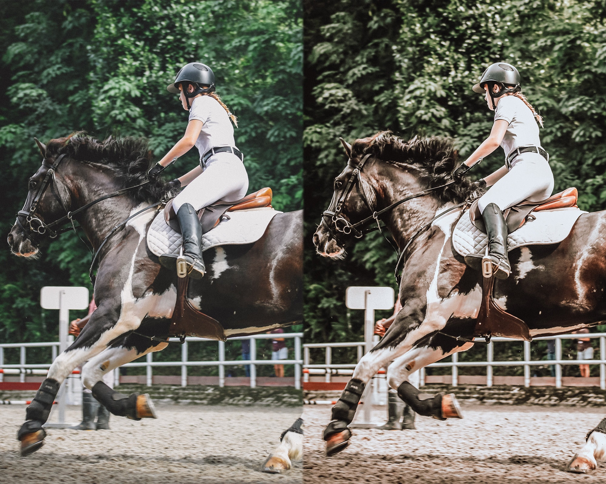 10 RUSTIC STALLION Mobile & Desktop Lightroom Presets, Horses Western ...