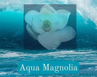 Aqua Magnolia