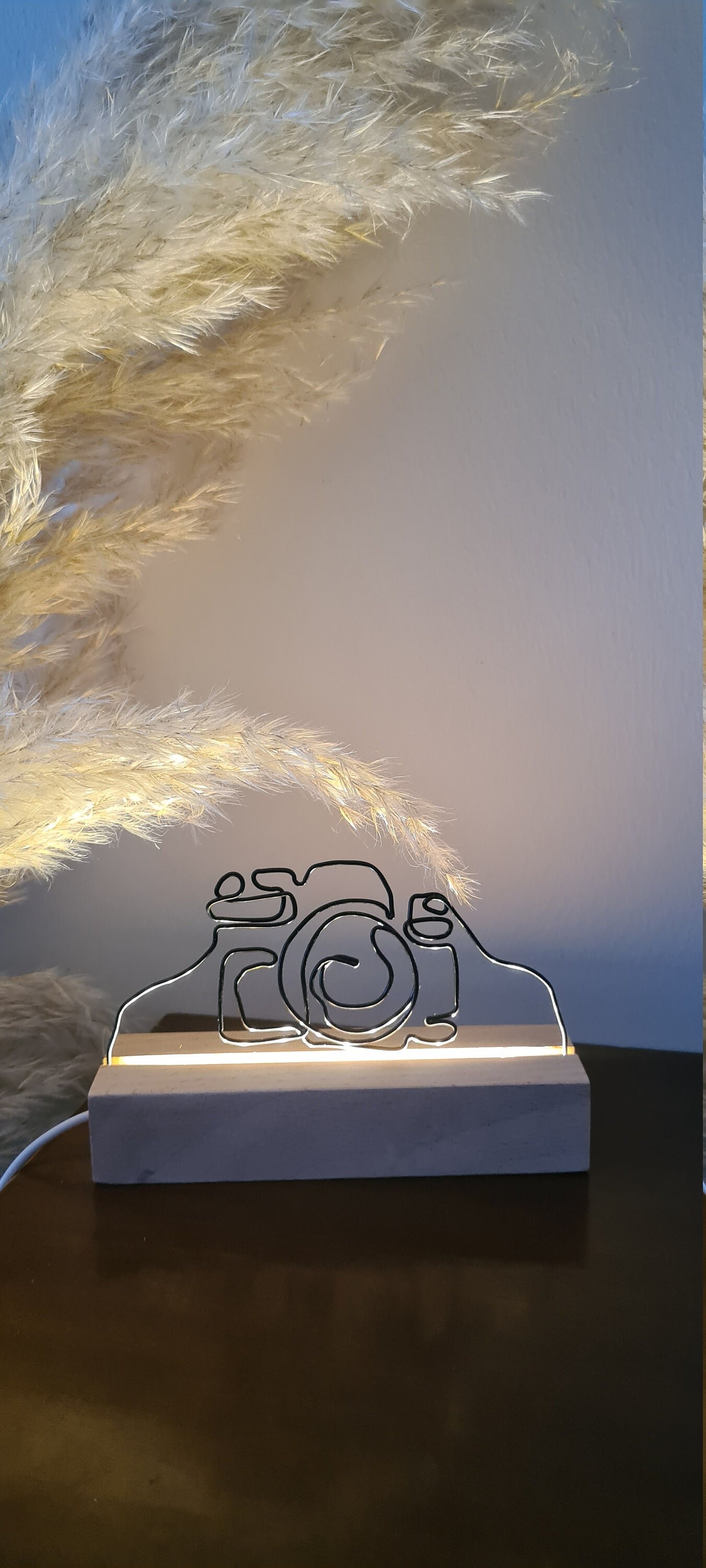 Appareil Photo en Fil d'aluminium Noir