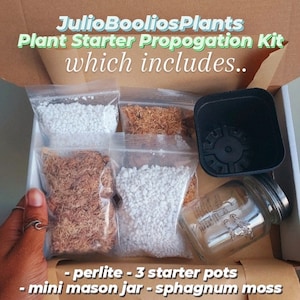 Starter Plant Propogation Kit | Propogation Kit | Starter Plants