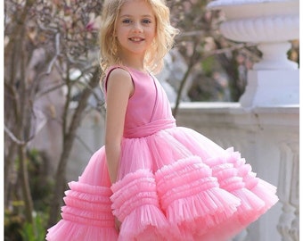 Vestido rosa / vestido de cumpleañera / vestido de niña de flores / vestido de tutú / vestido de baile / vestido de niña de rodilla / vestido corto de tul / vestido hinchado /
