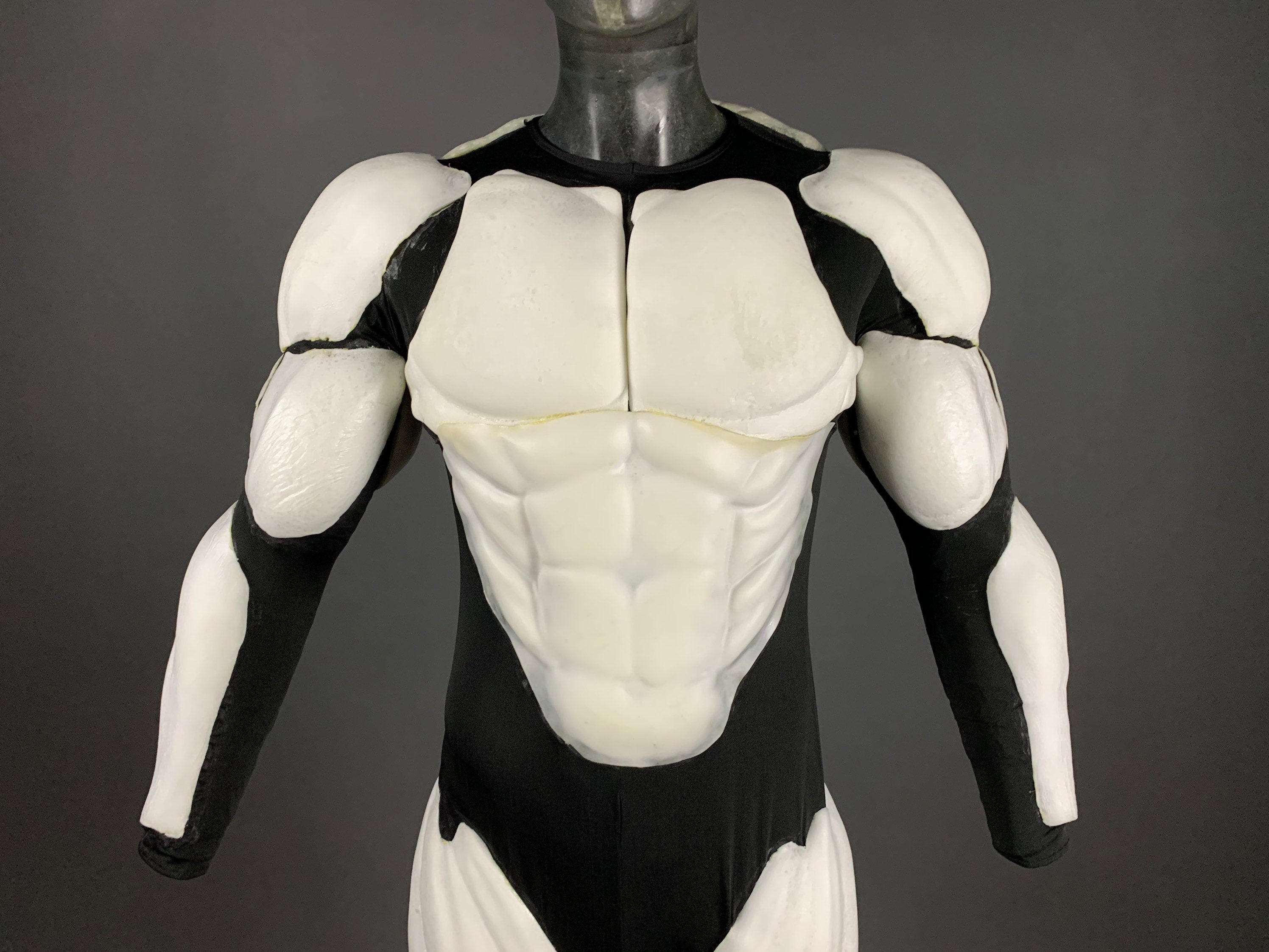 Full Muscle Suit Cosplay Type A Etsy