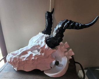 Crâne de dragon