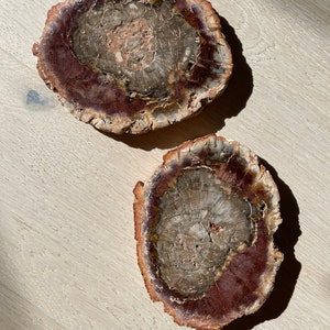 Purplish Petrified Wood Slab - Earth Energy, Transformation, Wisdom, Protection