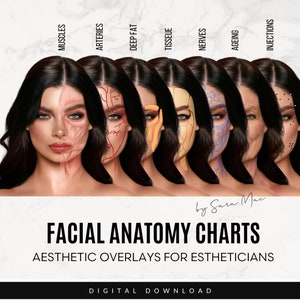 May include: A set of seven digital facial anatomy charts for estheticians. The charts show a woman's face with different layers of anatomy highlighted, including muscles, arteries, deep fat, tissue, nerves, aging, and injections.