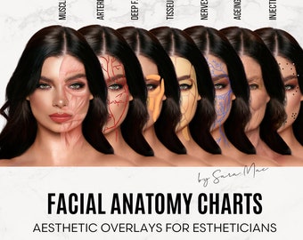 Facial Vessels Anatomy Overlay | for Aesthetics Practitioners | 1 ...