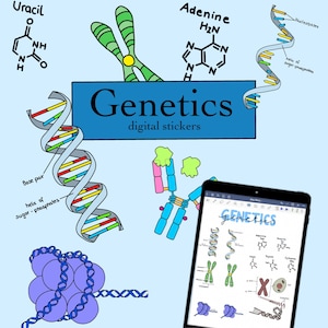 Genetics Digital Sticker Pack / Biology Stickers for GoodNotes, Notability etc... / Med School Study Stickers