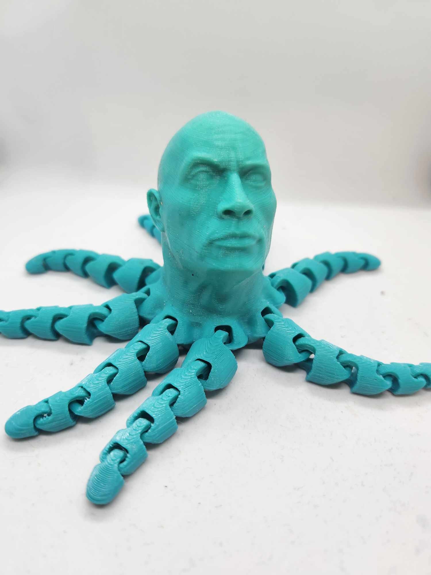 The Rock Imposter Custom Colors 3D Printed Fidget Toy 