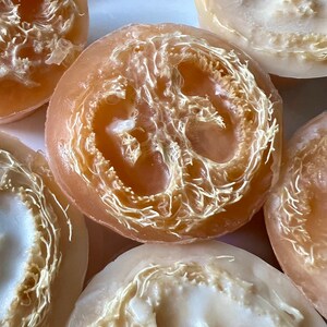 Loofah Puck FO.Fresh Grapefruit 3..7 oz
