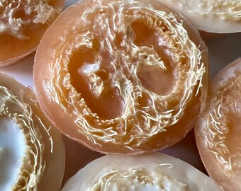 Loofah Puck FO.Fresh Grapefruit 3..7 oz